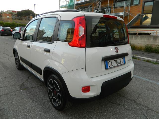 FIAT Panda 1.0 Hybrid 70CV 5POSTI - UNIPRO TAGLIANDATA