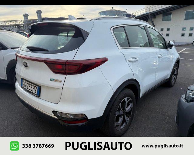 KIA Sportage 1.6 CRDI 136 CV 2WD Mild Hybrid Business Class