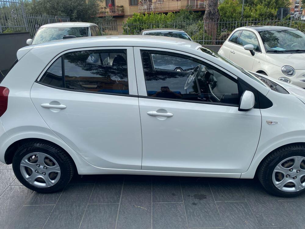 Kia Picanto 1.0 12V 5 porte Urban