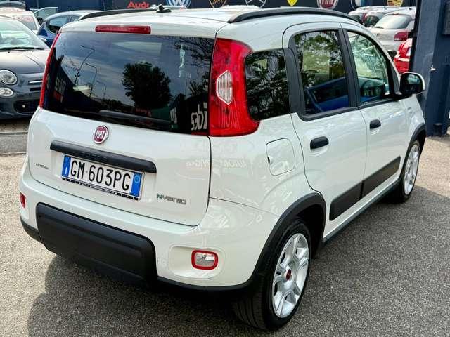 Fiat Panda Panda 1.0 Hybrid PRONTA CONSEGNA 5 POSTI