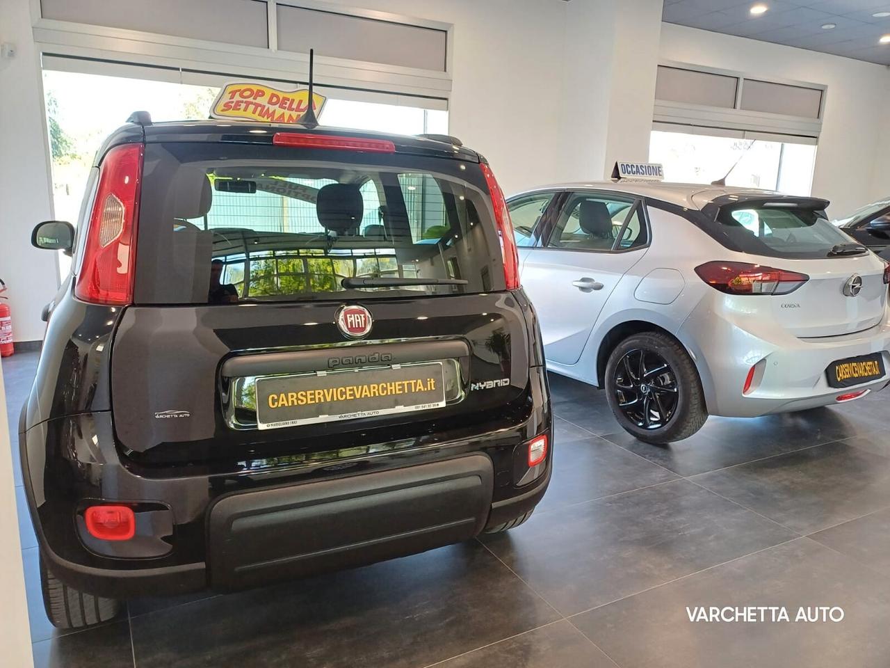 Fiat Panda 1.0 FireFly S&S Hybrid SEMINUOVA 12/2023