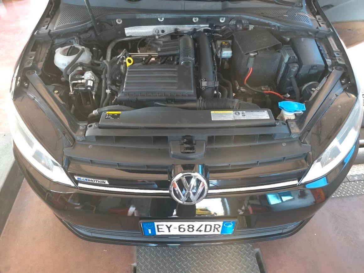 Volkswagen Golf Business 1.4 TGI 5p. Comfortline BlueMotion