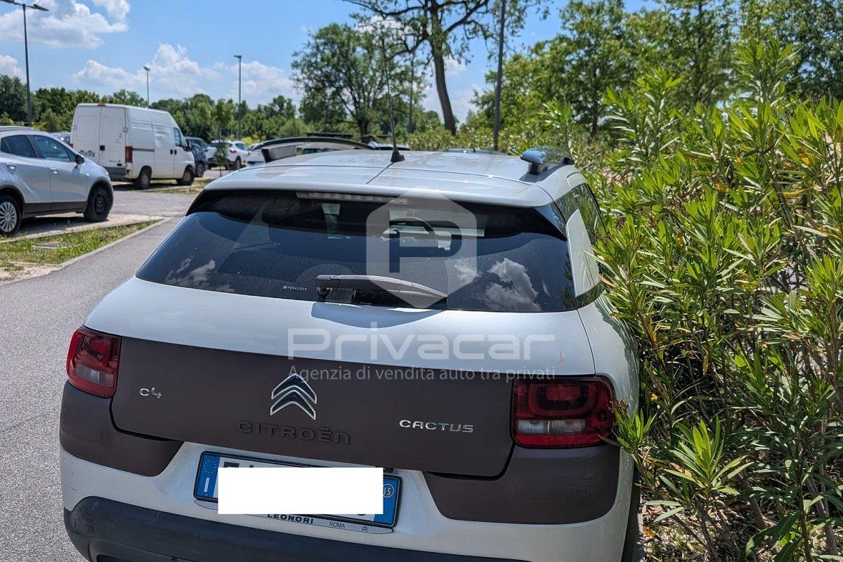 CITROEN C4 Cactus BlueHDi 100 S&S Live