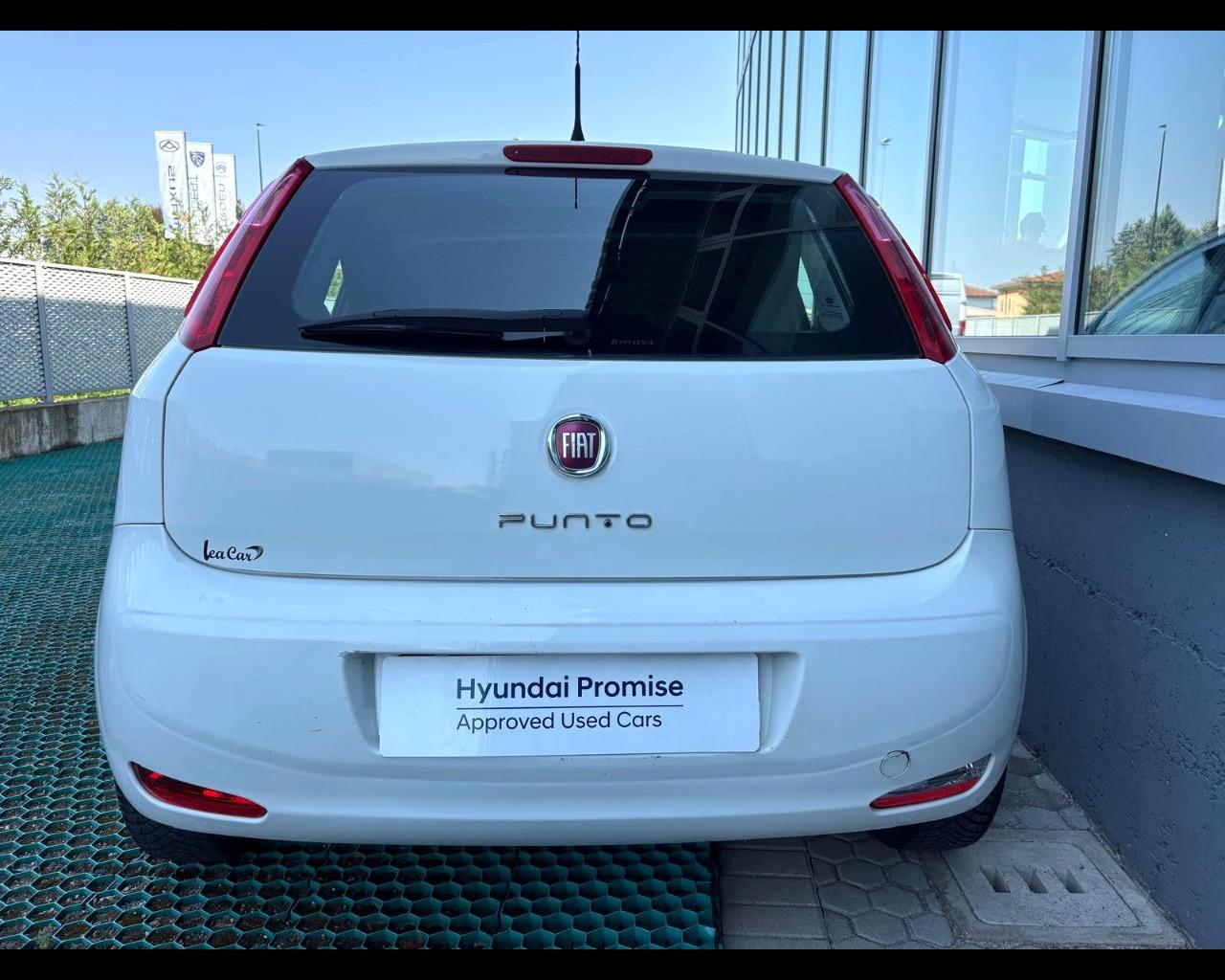 FIAT Punto 2012 Benzina - Punto 1.2 Street 5p E6