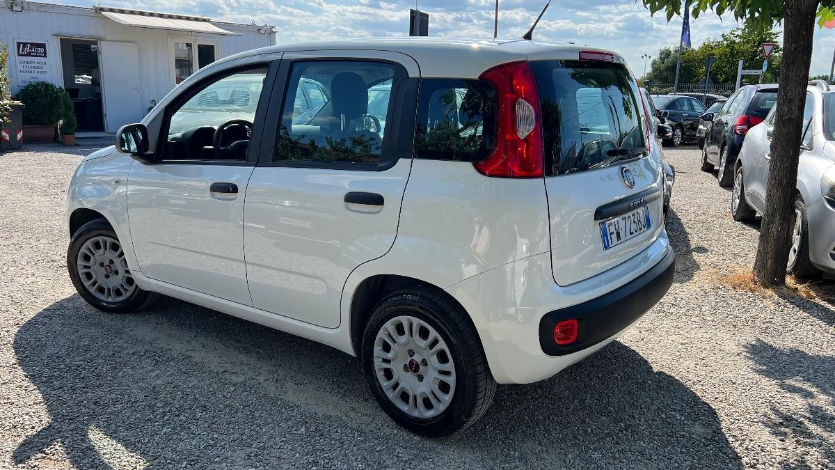 FIAT - Panda 1.2 Easy s&s 69cv my19