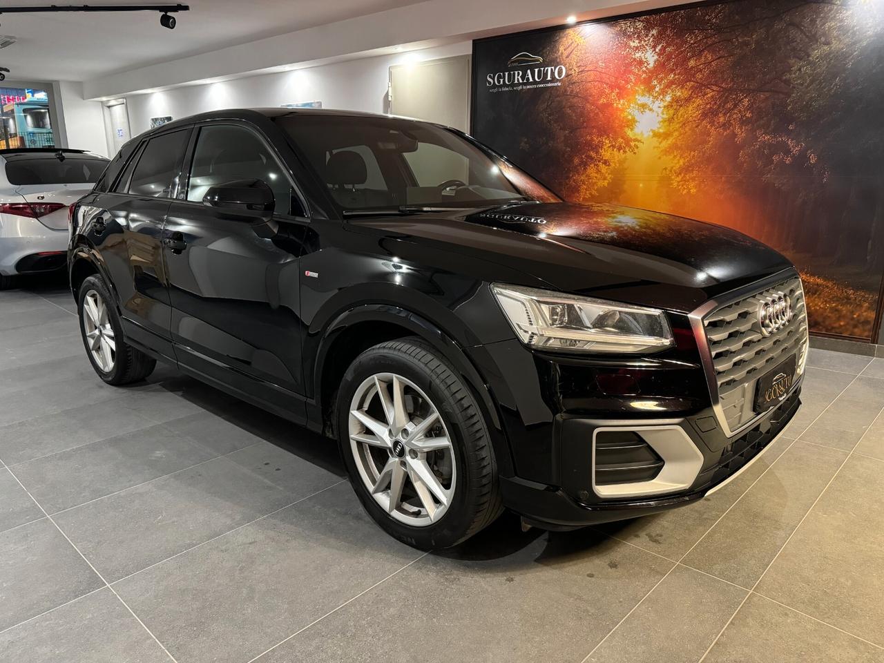 AUDI Q2 1.6 TDI S-TRONIC S-LINE NAVI PELLE XENO 18