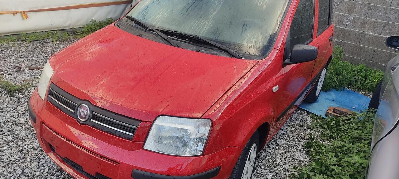 fiat panda 1.2 benzina dynamic
