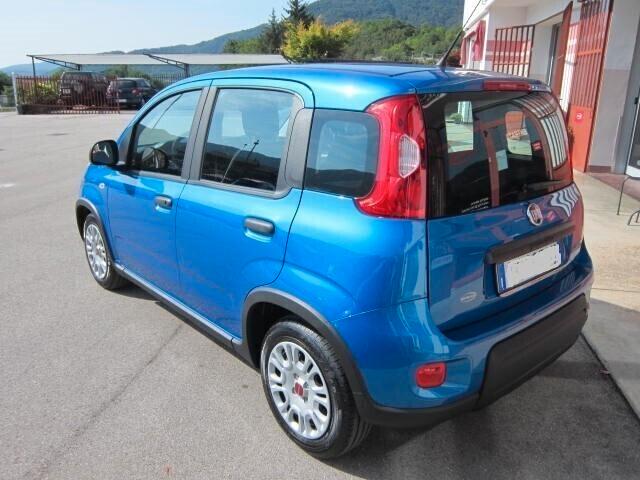 Fiat Panda 1.0 FireFly S&S Hybrid NEOPATENTATI