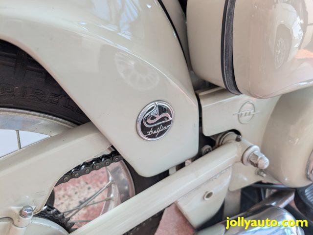 MOTOM Dolcevita 160 DELFINO