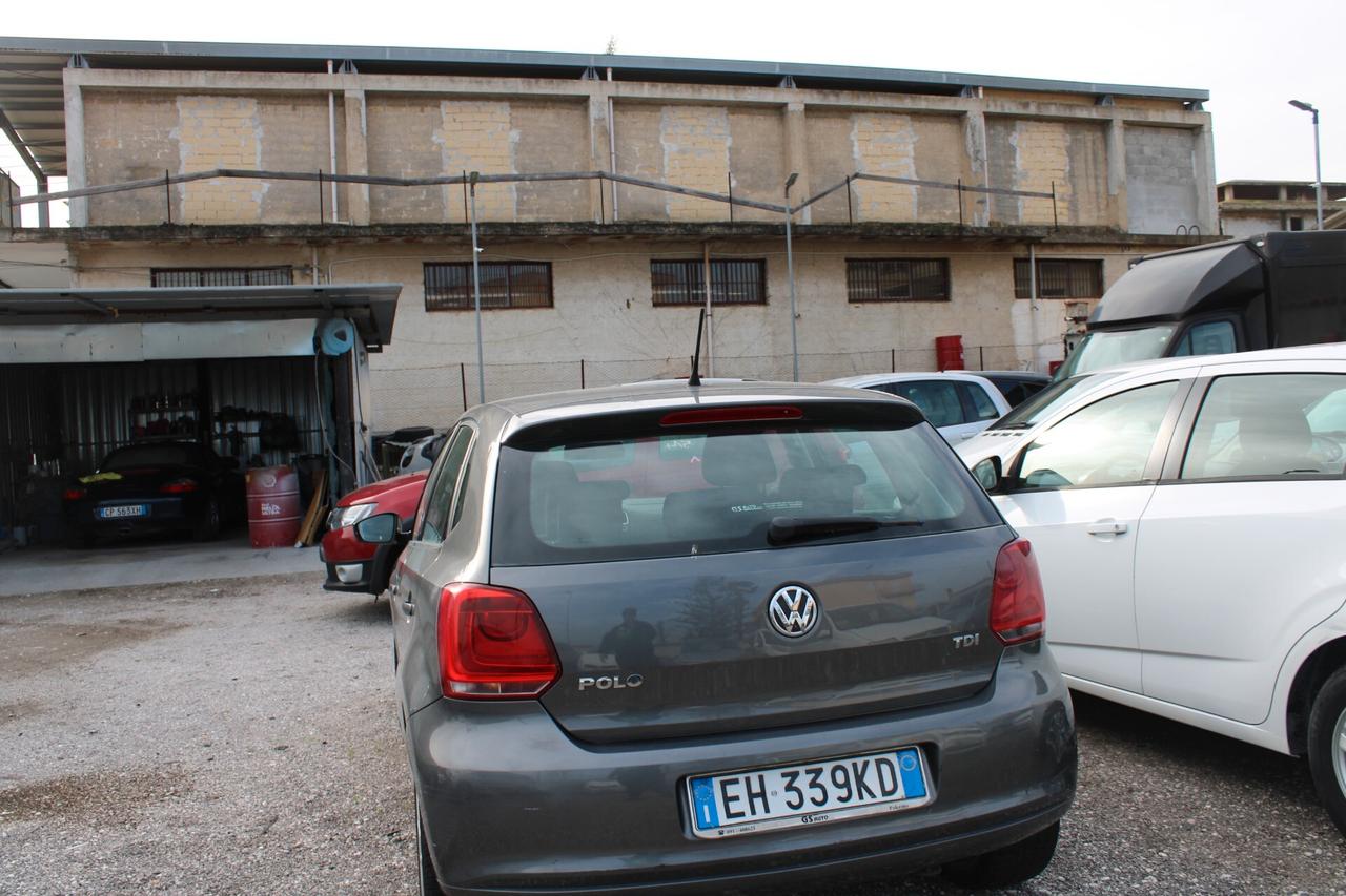Volkswagen Polo 1.6 TDI 90CV DPF 5 porte Comfortline