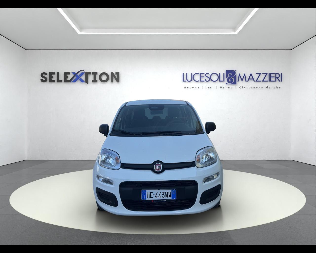 FIAT Pandina - Pandina 1.0 FireFly 65 CV Hybrid Icon