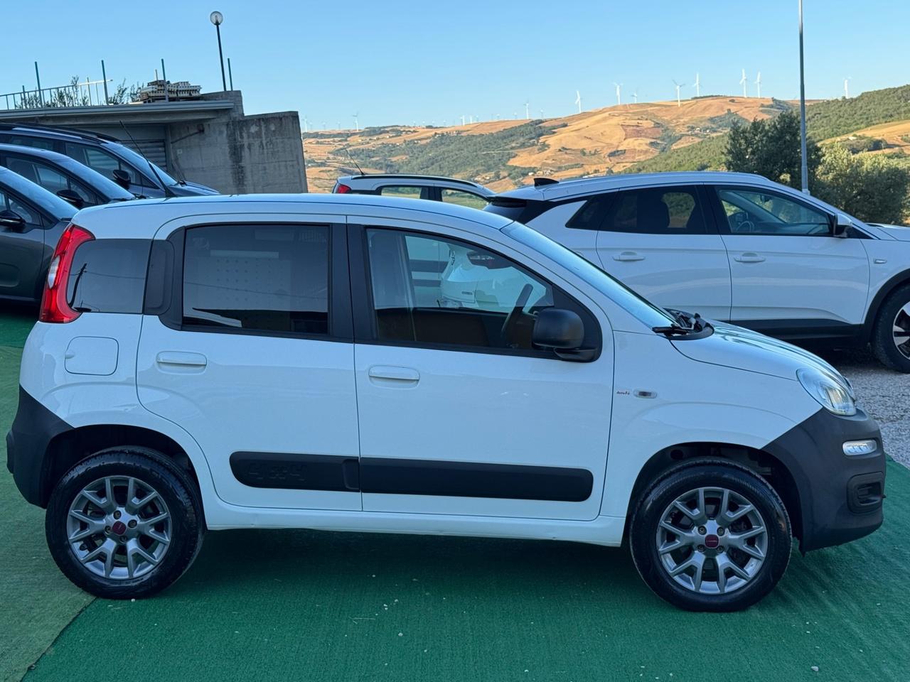Fiat Panda 1.3 MJT 4x4 Van 2 posti