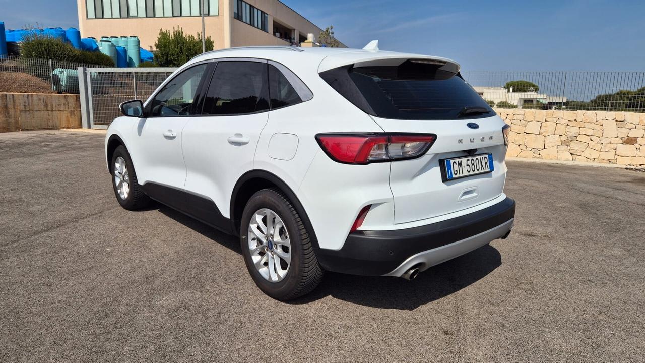 Ford Kuga 1.5 EcoBlue 120 CV 2WD Titanium Business