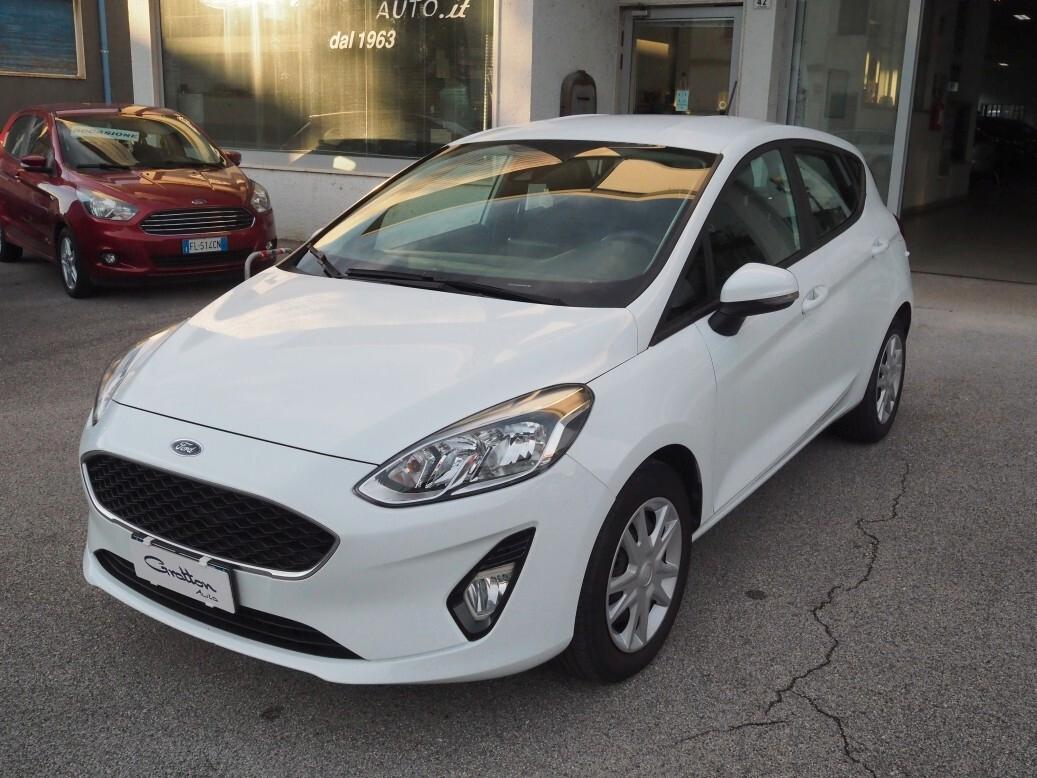 Ford Fiesta 1.1 85 CV 5 porte Plus