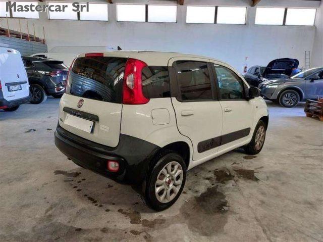 FIAT Panda 1.3 mjt VAN CLIMBING 4X4 2P - targa EW514BG