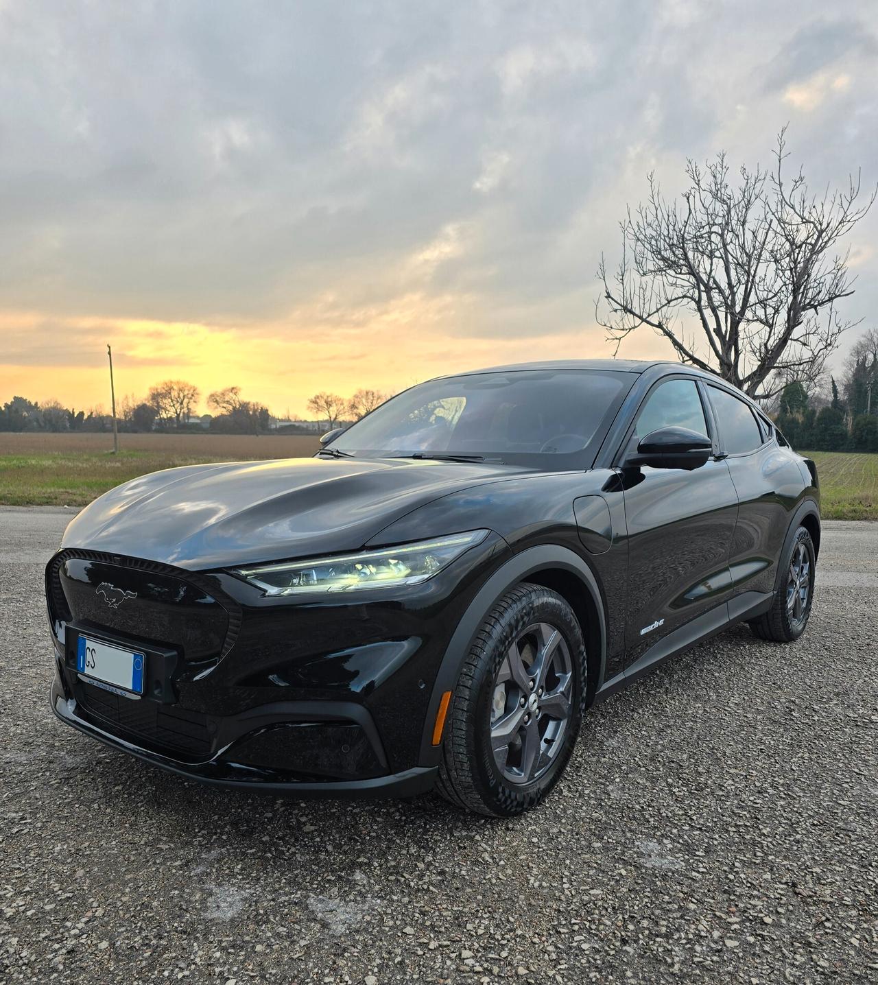 Ford Mustang Mach-E Standard Range 269 CV