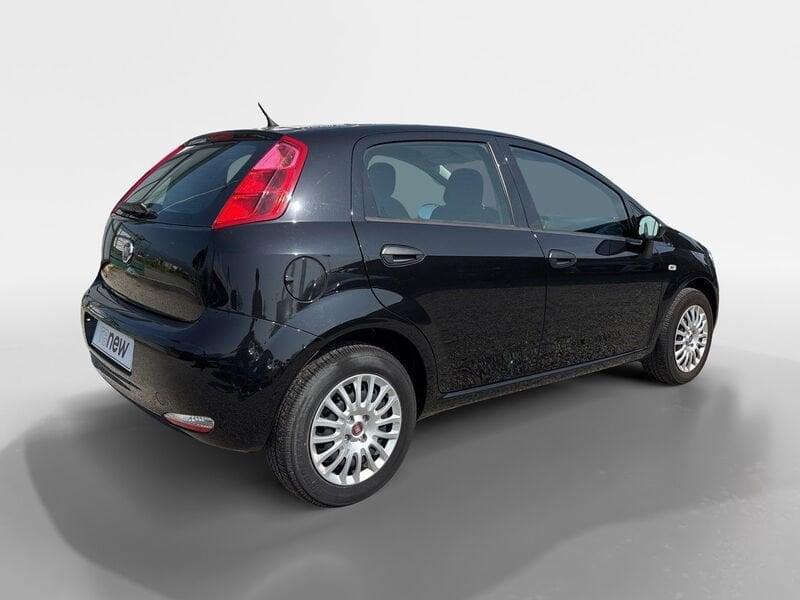 FIAT Punto Punto 1.4 8V 5 porte Easypower Street