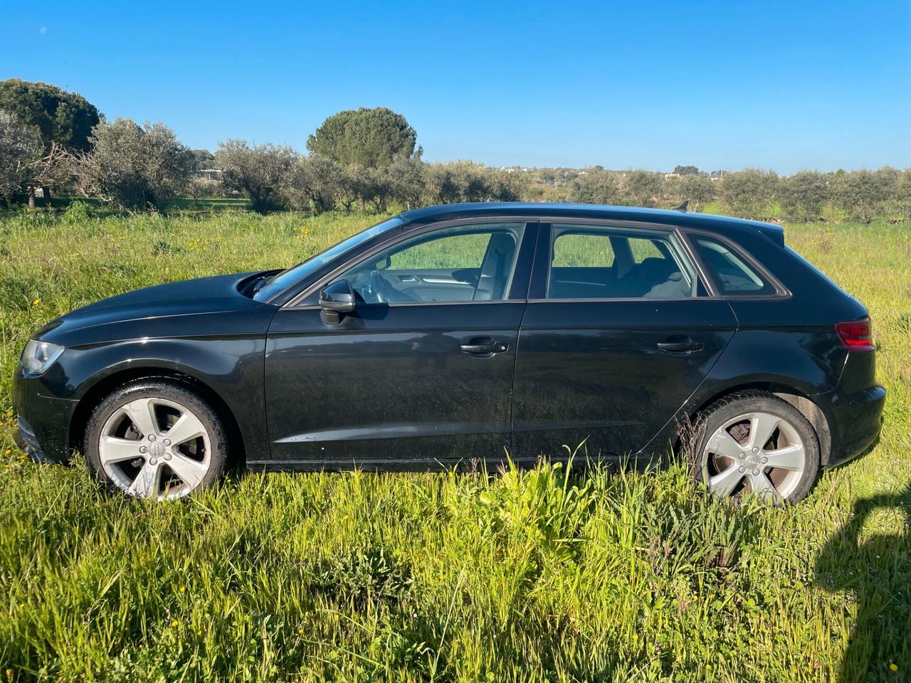 Audi A3 1.6 TDI clean diesel Business finanziabile