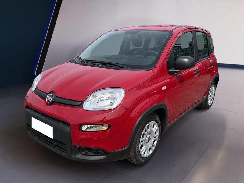 FIAT Panda My24 1.0 70cv Hybrid Panda
