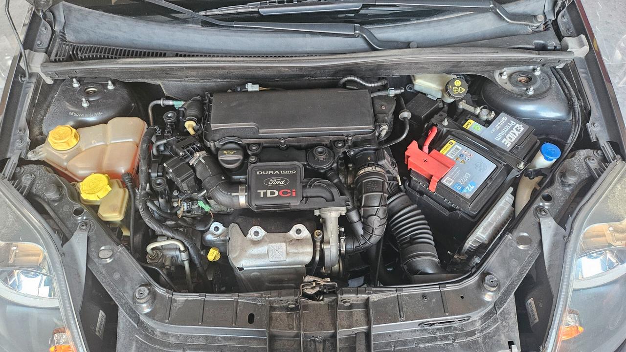 Ford Fiesta 1.4 TDCi 5p. Titanium