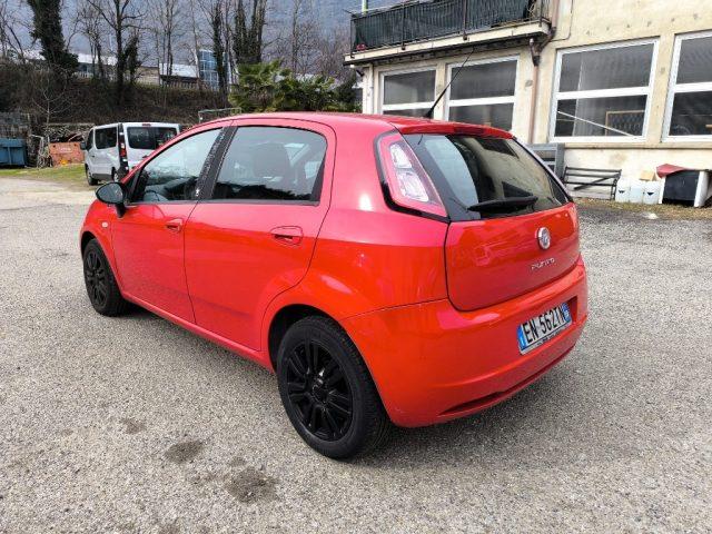 FIAT Punto 1.2 8V 5 porte ADATTA A NEOPATENTATI