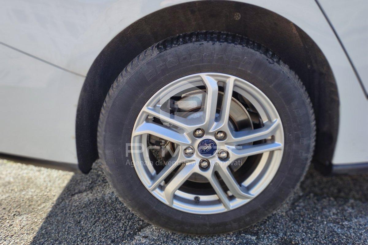 FORD Focus 1.5 EcoBlue 120 CV automatico SW Business