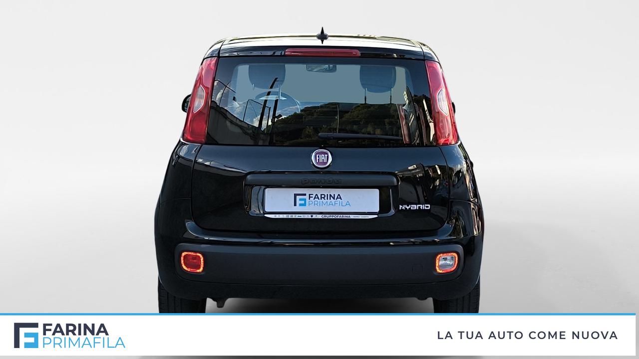 FIAT Panda III 2021 - Panda 1.0 firefly hybrid s&s 70cv
