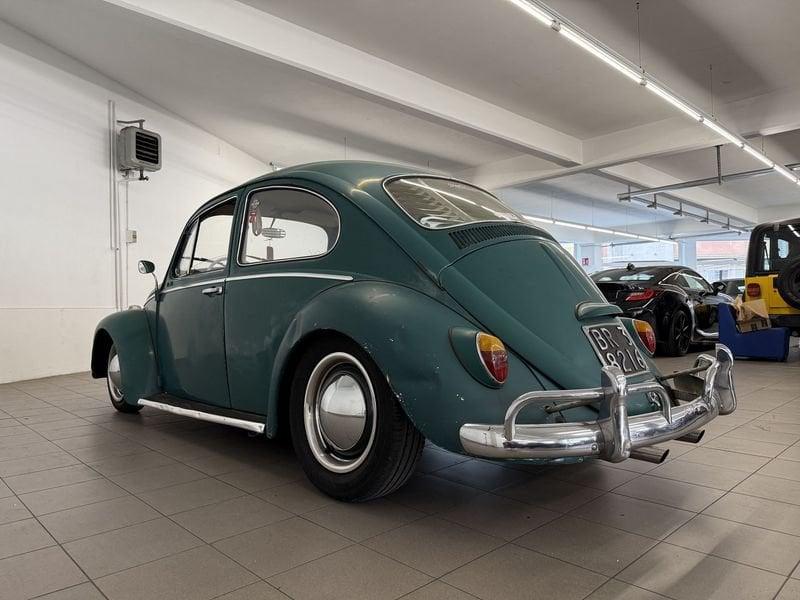 Volkswagen Maggiolino