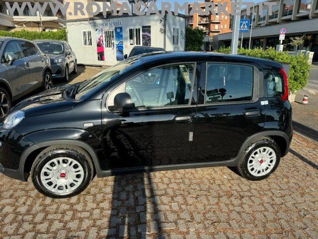 FIAT Panda 1.0 FireFly S&S Hybrid RADIO , SENSORI NO VINCOLI