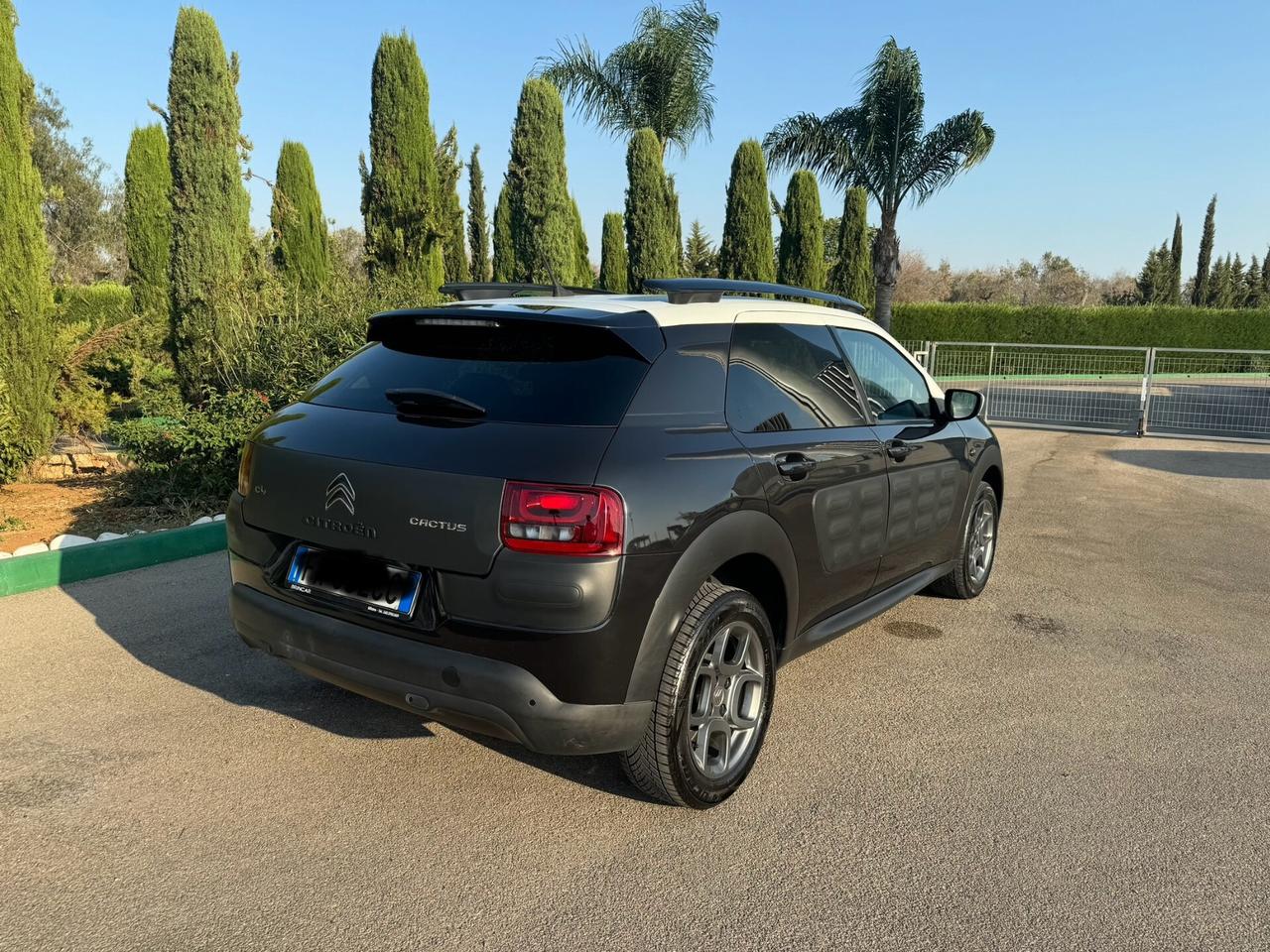 Citroen C4 Cactus PureTech 110 S&S Feel