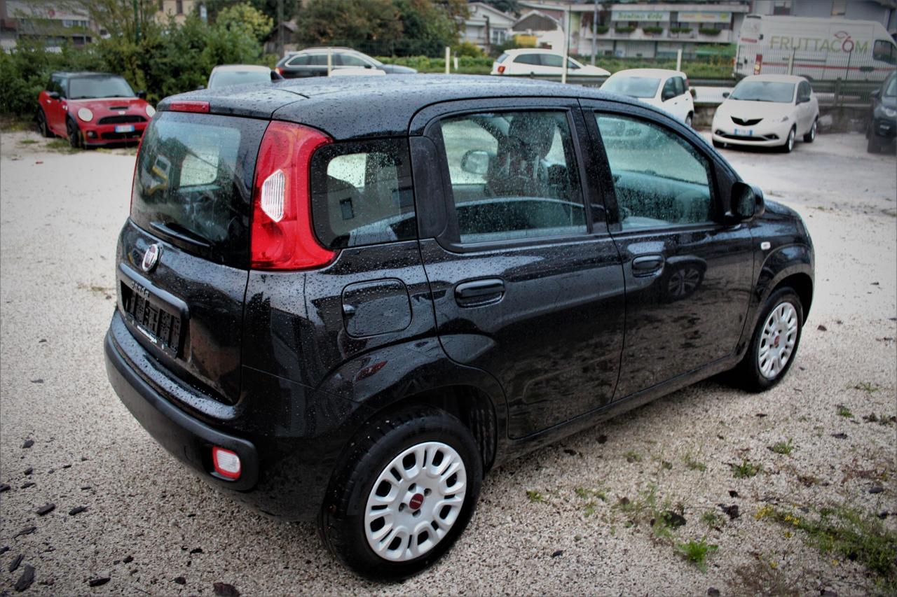 Fiat Panda 1.2 Easy Neopatentati