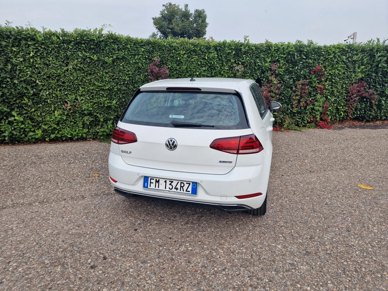 Volkswagen Golf 1.4 TGI 5p. Business BlueMotion