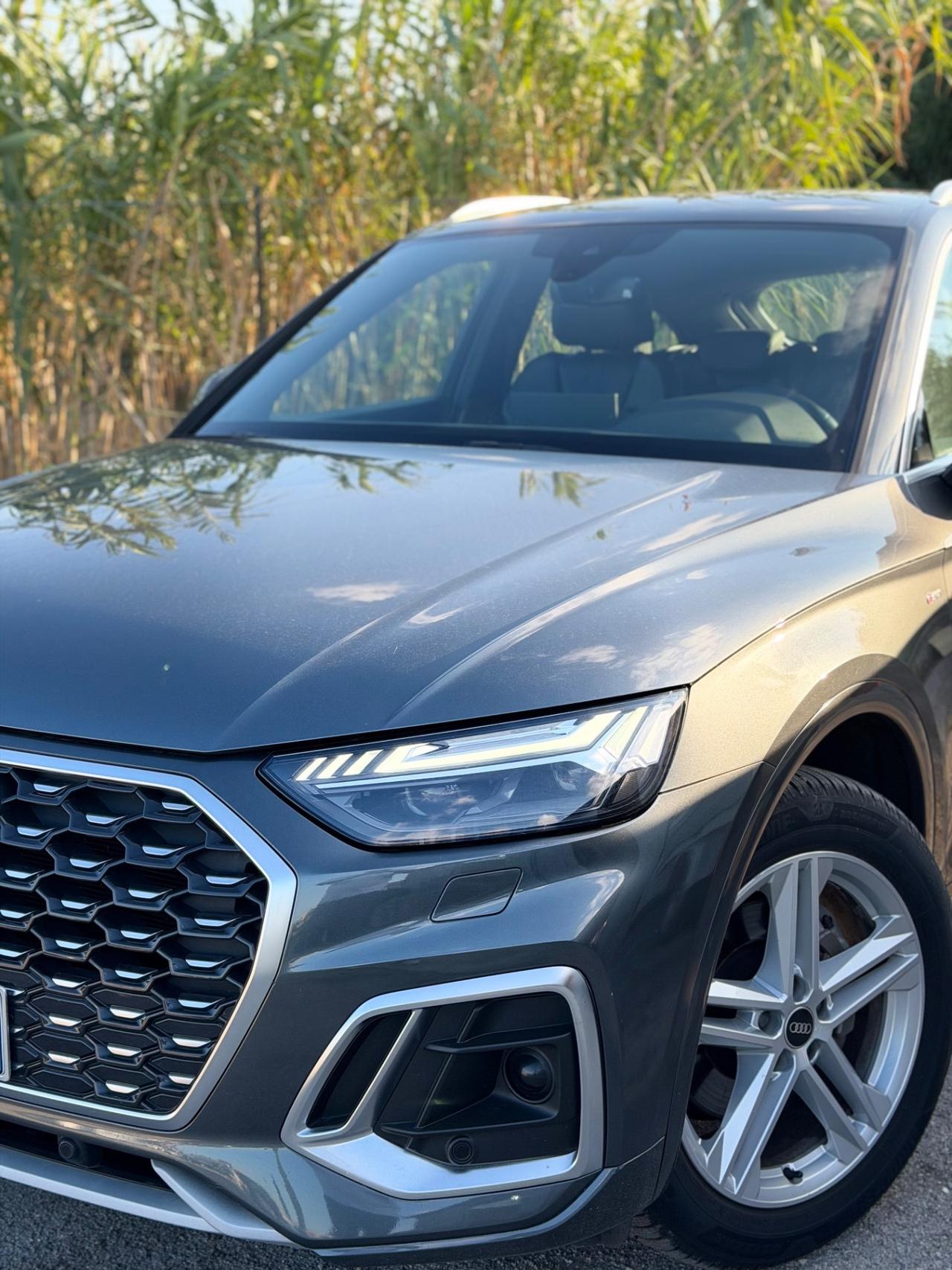 Audi Q5 40 TDI 204 CV quattro S tronic line plus