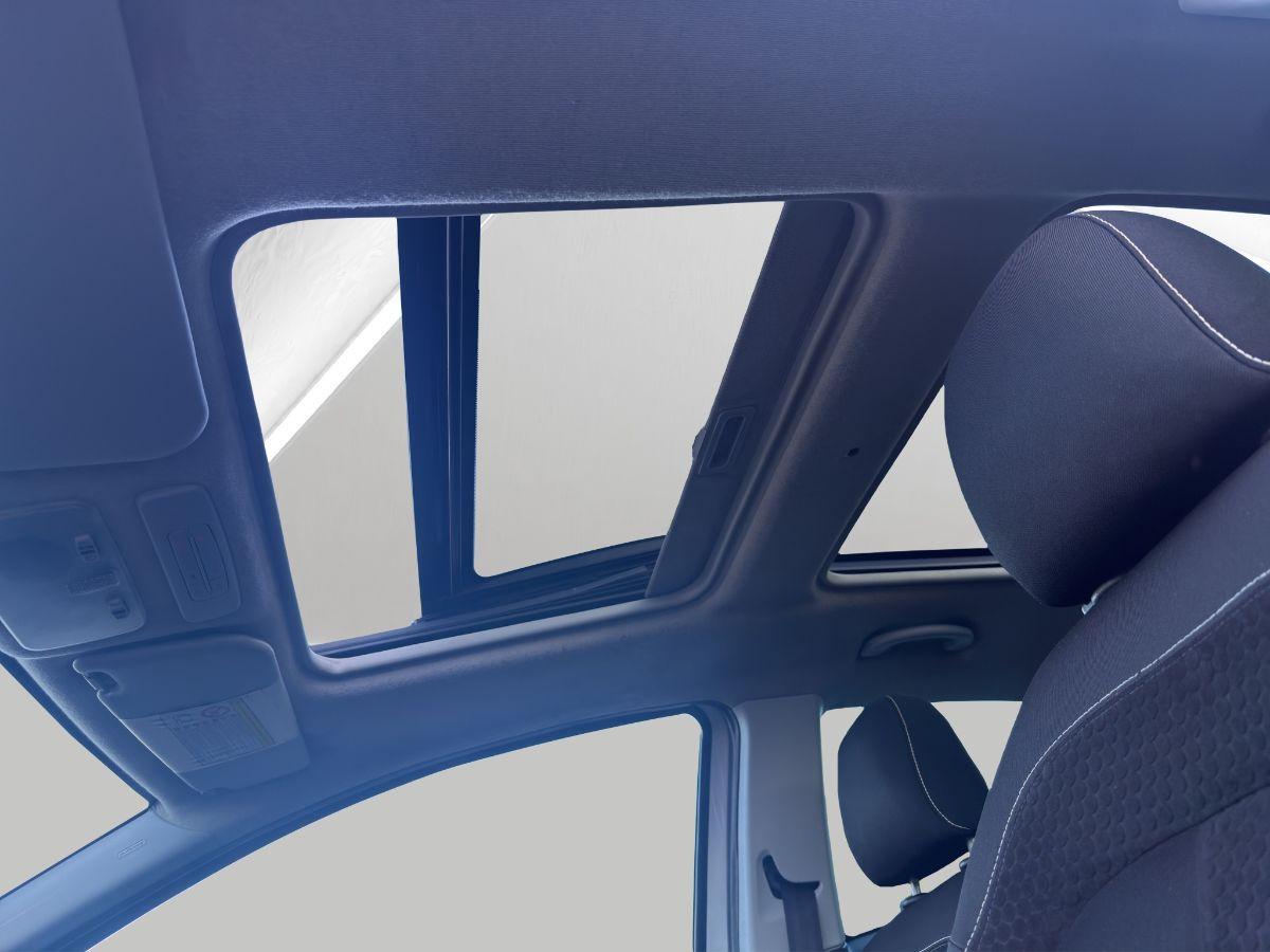 FIAT - Punto Evo - 1.6 Mjt 120cv DPF 3p. Sport TETTO