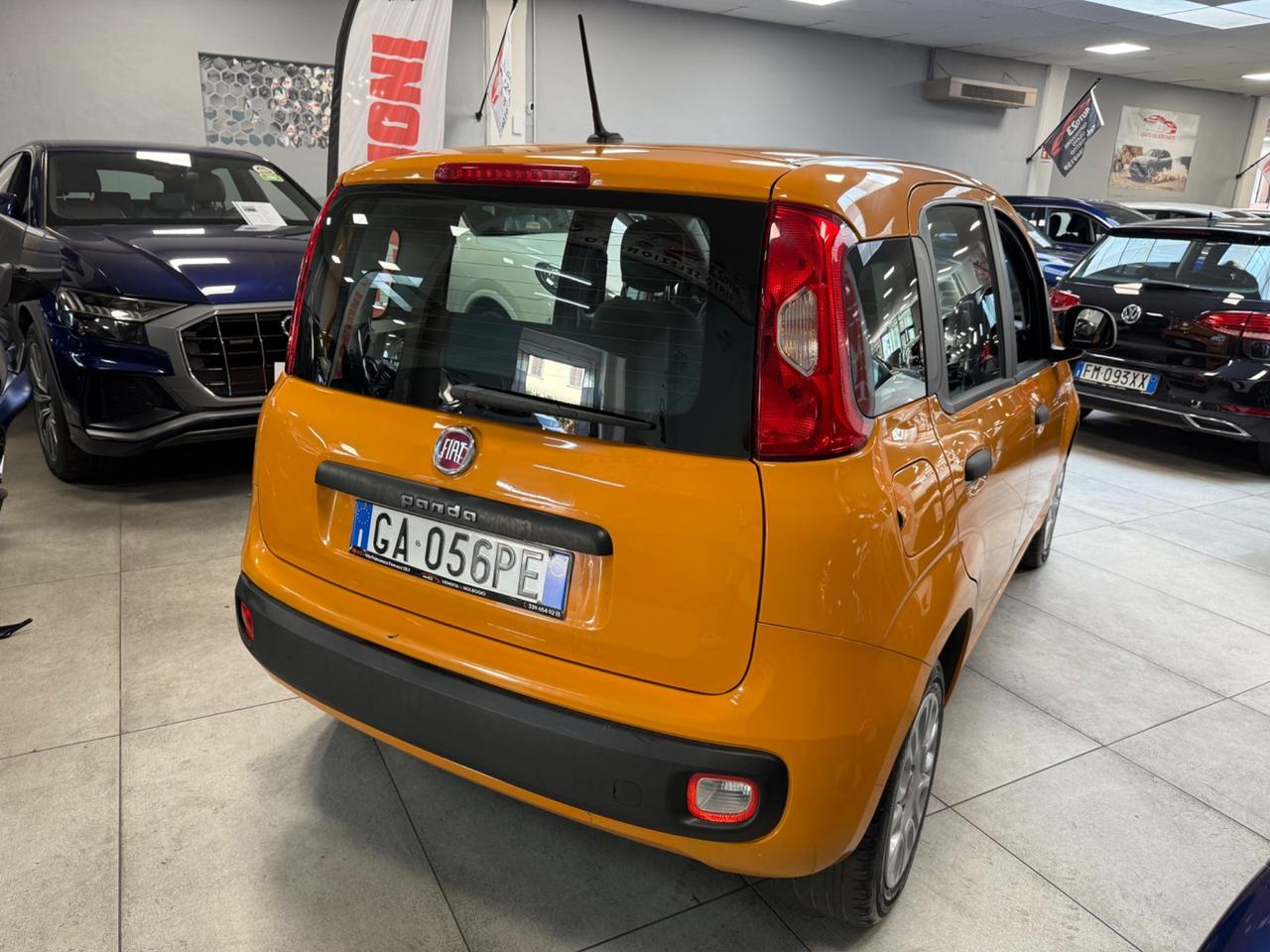 Fiat Panda 1.2 Trussardi 69CV Ok Neopatentati