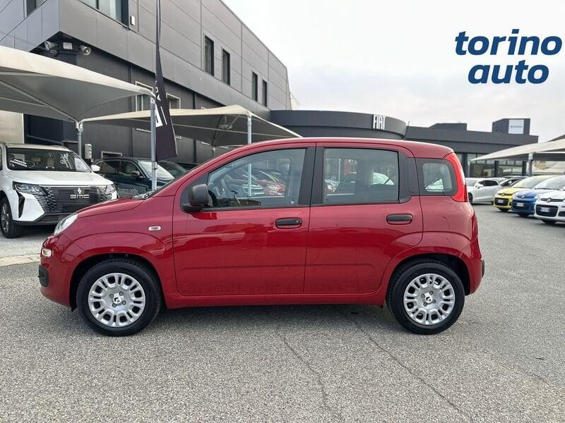 FIAT Pandina Pandina 1.0 firefly hybrid Icon s&s 70cv