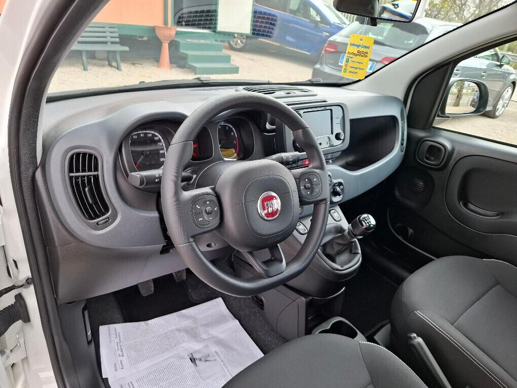 FIAT PANDA 1.0 FIREFLY 70CV CITY LIFE HYBRID-2024