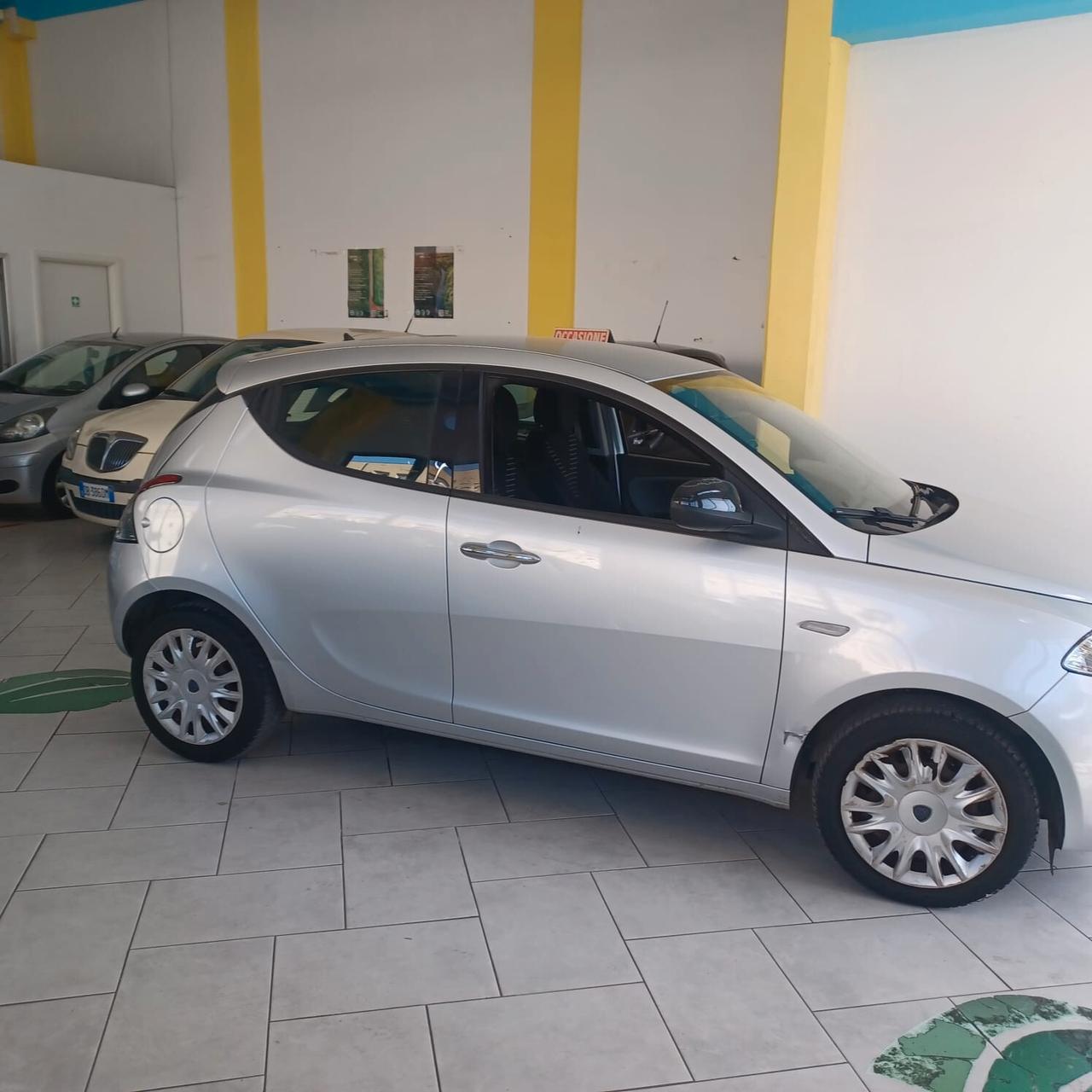 DISTRIBUZIONE FATTA NEOPATENTATI YPSILON 1.2