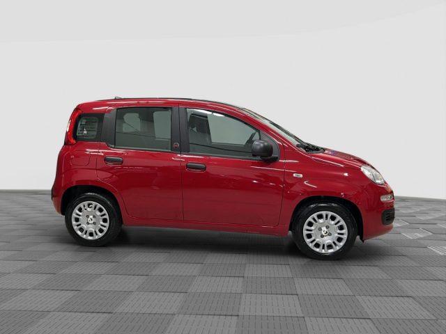 FIAT Panda Pandina 1.0 FireFly 65 CV Hybrid Icon