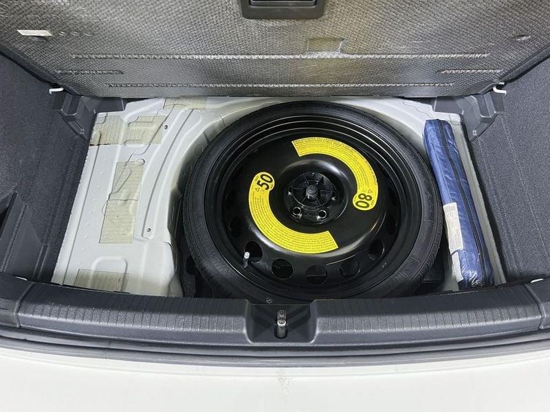 Volkswagen Polo GTI 2.0 TSI GTI DSG