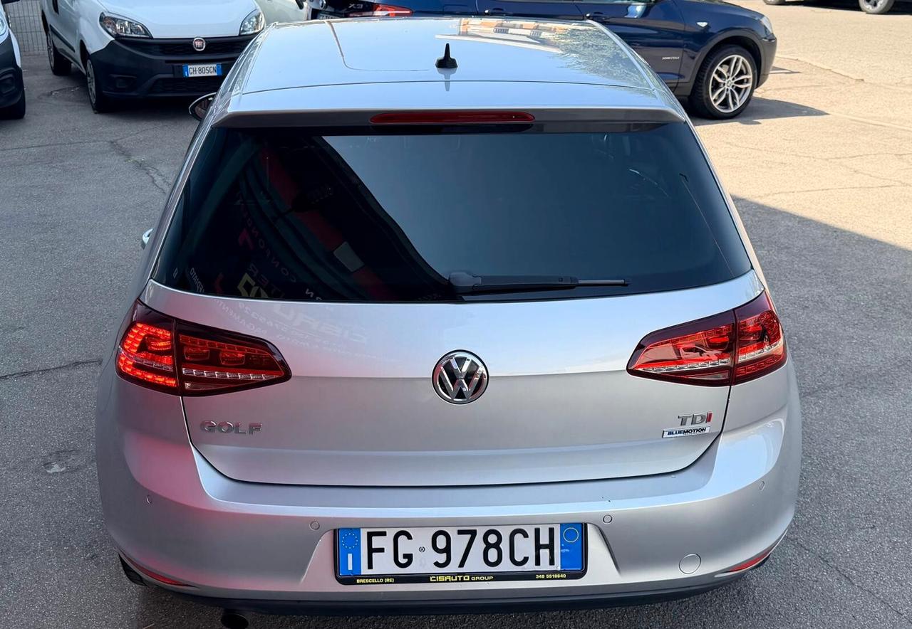 Volkswagen Golf 1.6 TDI 110 CV 5p. Executive BlueMotion Technology