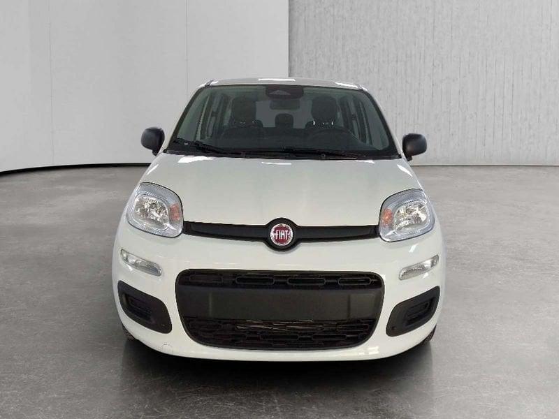 FIAT Pandina 1.0 firefly hybrid Icon s&s 70cv 5p.ti