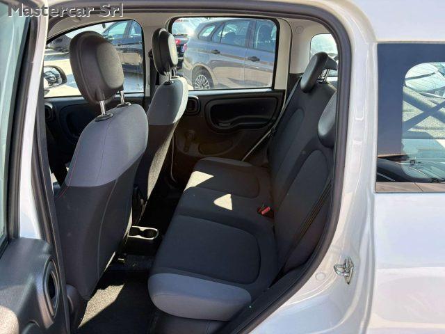 FIAT Panda Panda III 4x4 0.9 t.air t. 4x4 - FW539MA