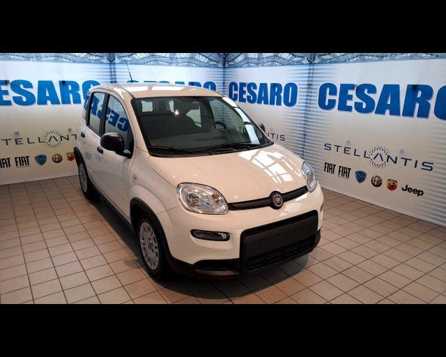 FIAT New Panda 1.0 firefly hybrid 70cv