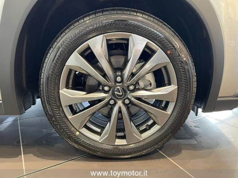 Lexus UX 300h F-Design