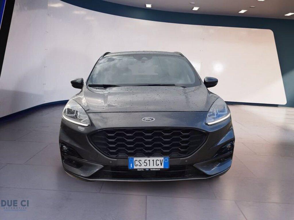 FORD Kuga 2.0 EcoBlue 120 CV aut. 2WD ST-Line del 2024