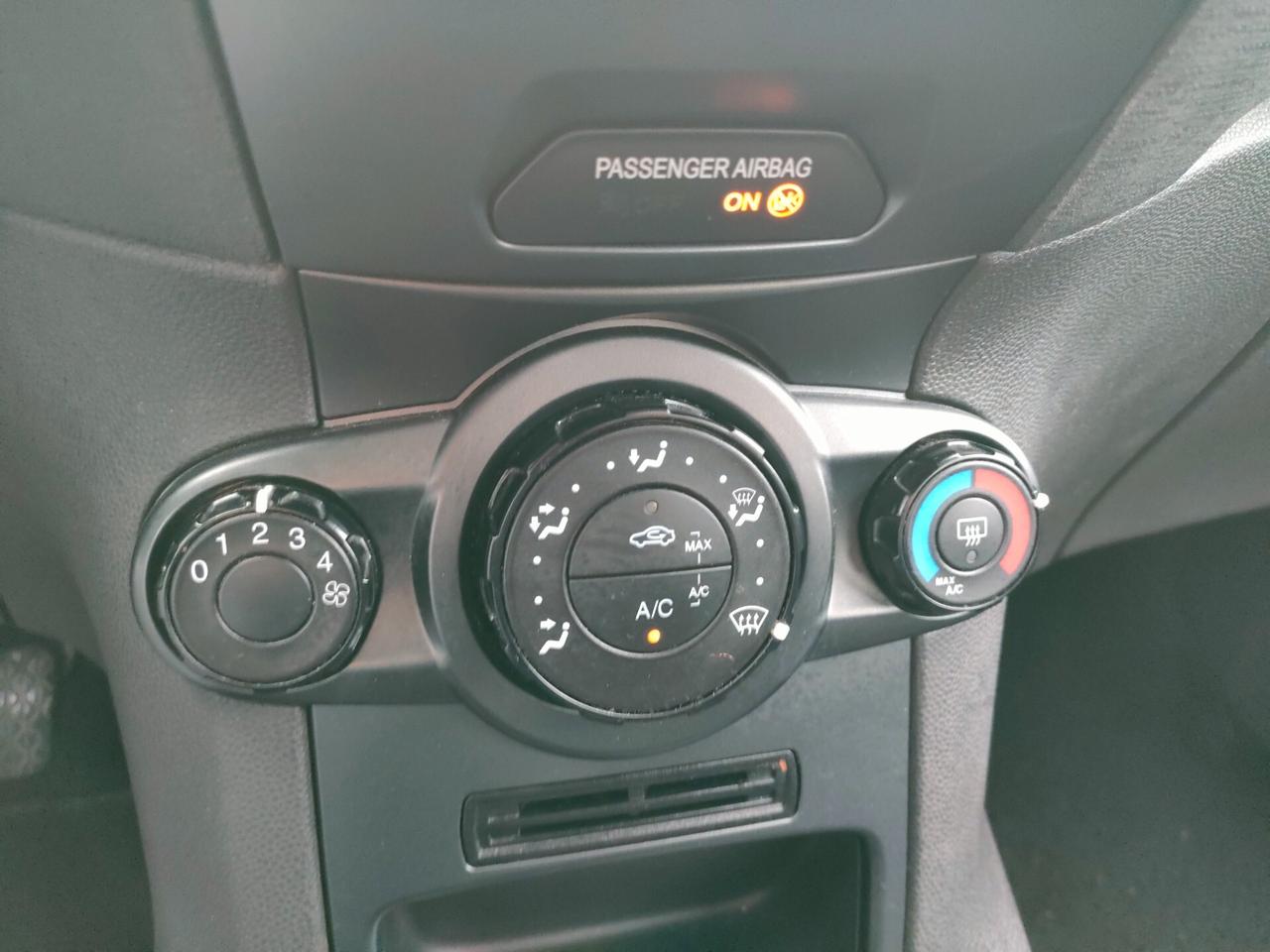 Ford Fiesta 1.5 TDCi 75CV 5 porte Black & White Edition