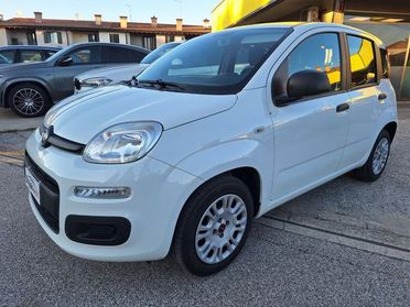 FIAT Panda 1.2 Easy OK X NEOPATENTATI N°FY852