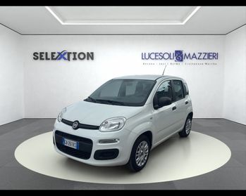 FIAT Panda 3ª serie - Panda 1.2 Easy