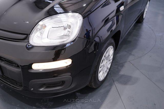 FIAT New Panda My25 1.0 FireFly S&S Hybrid #Pack City #5posto